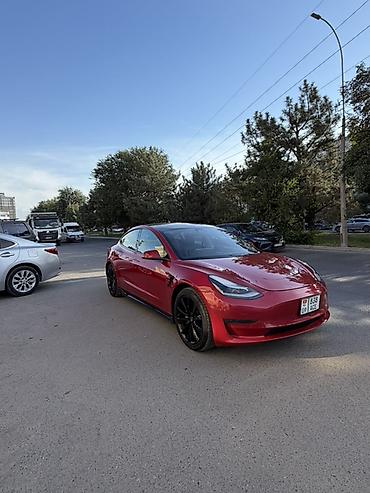 тент крыша: Tesla Model 3: 2022 г., Электромобиль, Седан — 1