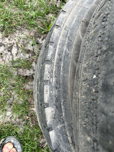 газ 53 на разбор: 315/70R 22,5