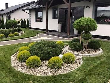 Удобрения и садовая химия: Удобрение — 17