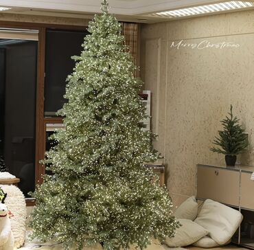 продажа новогодних елок: Договорная цена