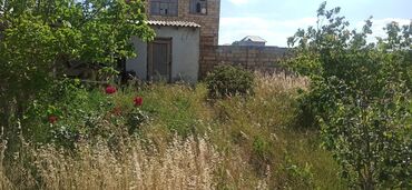 Torpaq sahələrinin satışı: 6 sot, Tikinti, Mülkiyyətçi, Kupça (Çıxarış)
