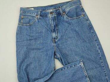 Spodnie: Jeansy dla mężczyzn, L, LeviS, stan - Dobry