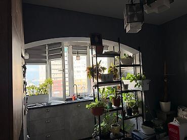 Продажа квартир: 2 комнаты, 65 м², Кок-Жар ж/м 106 серия улучшенная, 4 этаж, Евроремонт — 10