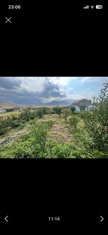 Теплицы: Тепличный комплекс каркасного типа - Арочные теплицы на металлическом — 11