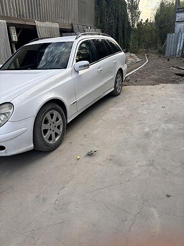 куплю авто мерседес: Mercedes-Benz E-Class: 2003 г., 2.2 л, Автомат, Дизель, Универсал — 3