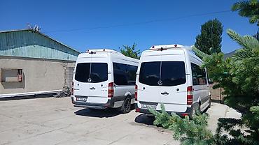 mercedes sprinter самосвал: Пассажирские перевозки на микроавтобусах Mercedes-Benz Sprinter - — 4