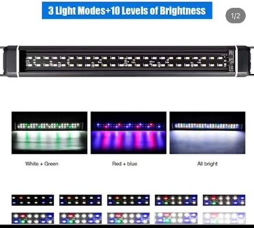 Аквариумы: Рыбки | Аквариумы | Оборудование | Аксессуары | Растения Богатый опыт — 21