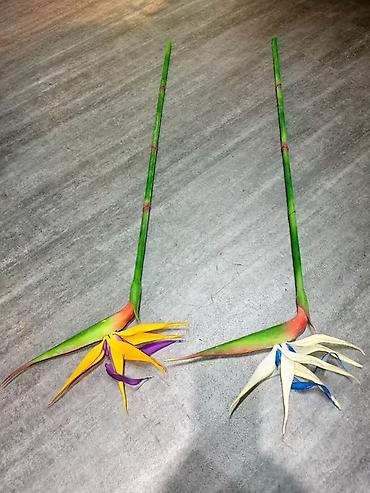 Картины: Искусственные цветы и зелень для декора НА ЗАКАЗ ПРИВИЗУ ОПТОМ ПО — 5