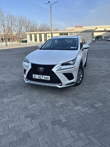Lexus: Lexus NX: 2020 г., Автомат, Бензин — 2