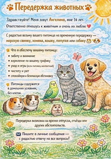 ev heyvan adlari: 🐾 Heyvanların müvəqqəti baxımı 🐾 Salam! Mənim adım Angelina, 14 yaşım — 1