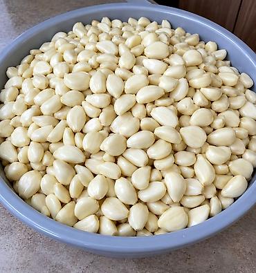 Продукты питания: Чеснок Оптом — 1