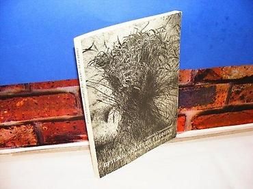 crivit marka: Slavica stamenković crteži, akvareli, grafike 1990 mek povez 24 cm — 1