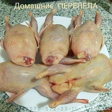 Мясо перепёлки, вес 250 граамм, молодняк. Мы в центре города