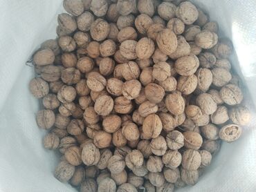 Сухофрукты, орехи, снеки: Продаю греческий орехи горный