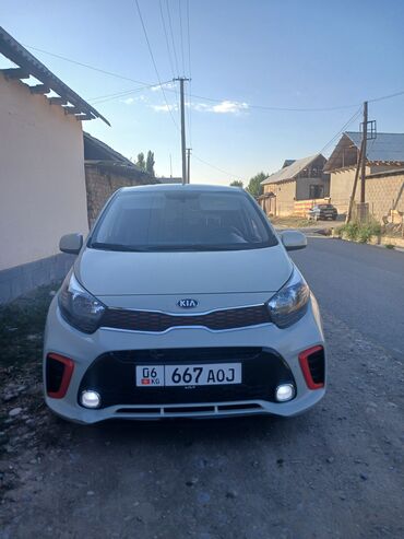 маленькая машина: Kia Picanto: 2019 г., 1 л, Автомат, Бензин, Хэтчбэк