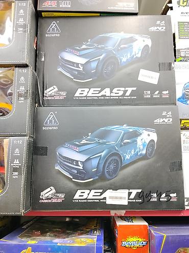 Радиоуправляемый внедорожный автомобиль BEAST SG216PRO - Масштаб