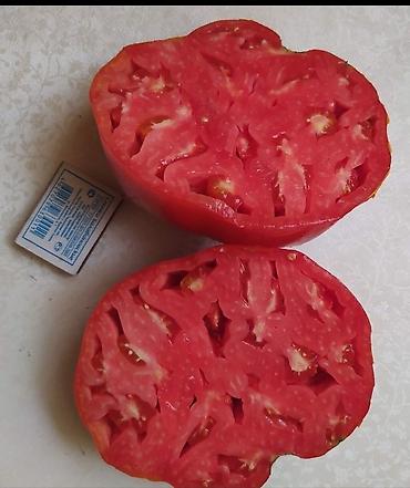 Томат: Семена помидор жёлтые красные. находится в Пригородном.( не для поля — 2