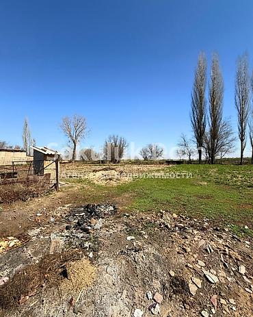 Продажа коттеджей и домов: 🏠Продается дом в с. Чаткуль 🟡 Комнаты: 5 🟡 Участок: 21 соток — 22