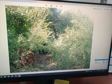 Torpaq sahələrinin satışı: 21 sot, Tikinti, Mülkiyyətçi, Kupça (Çıxarış) — 16