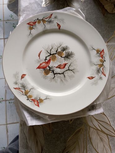 красная икра в баку цена: Тарелки, цвет - Белый, Фарфор, Чехия at lalafo.az красная икра в баку цена: Тарелки, цвет - Белый, Фарфор, Чехия