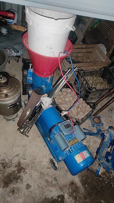 pelet: Təcili satılır Qranulyator pelet yem makinası toyuq qaz hinduşka — 1