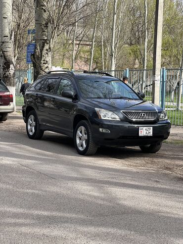 поло 3: Lexus RX: 2004 г., 3.3 л, Автомат, Бензин, Кроссовер