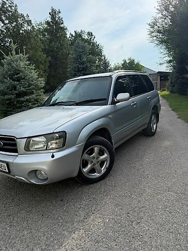 honda cr2: Subaru Forester: 2004 г., 2 л, Автомат, Бензин, Кроссовер — 3