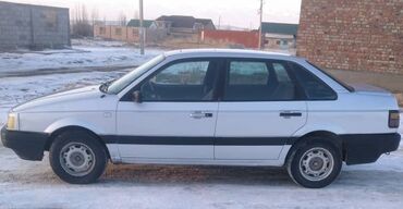 пасат аренда: Volkswagen Passat: 1989 г., 1.8 л, Механика, Бензин