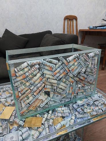 Akvariumlar: Çatdırılma tam pulsuzdu ölçü və dizaynında dəyişiklik etməy olar arxa — 31