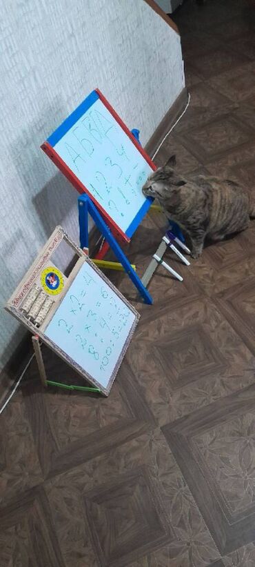 Другие товары для детей: Обучающая доска - интересная развивающая многофункциональная игра как — 1