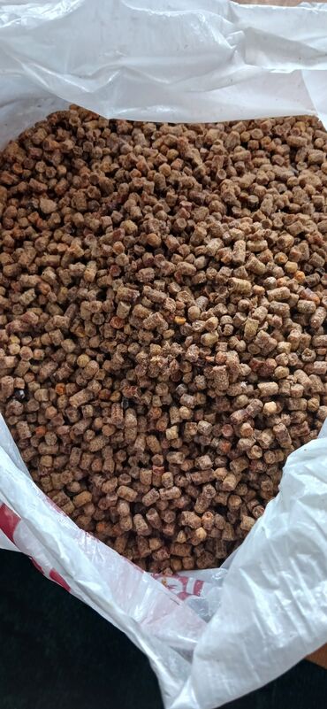 Digər qida məhsulları: ARI ÇÖRƏYİ ( GÜLƏM) Arı məhsulu Tərkibi: 1. Çiçək tozu əsasən; 2. arı — 2