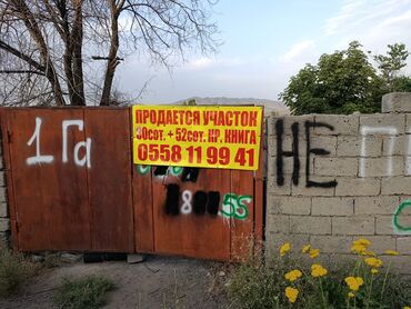 пансионаты в чок тале цены: 87 соток, Для строительства, Красная книга, Тех паспорт, Договор купли-продажи