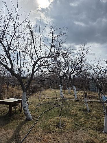 Продажа дач: Продается дачный дом — 19