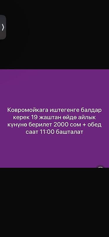 Ковро мойкага опытный балдар керек