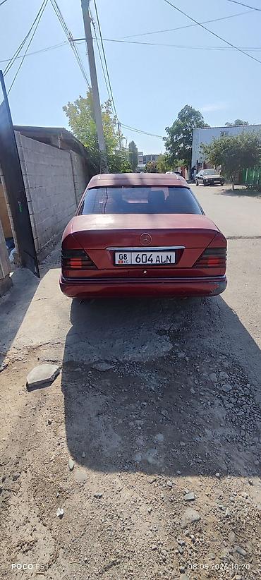 mers 202: Mercedes-Benz E-Class: 1994 г., 2.9 л, Автомат, Дизель, Седан — 2