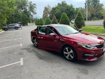 Kia: Kia Optima: 2019 г., 2.4 л, Автомат, Бензин