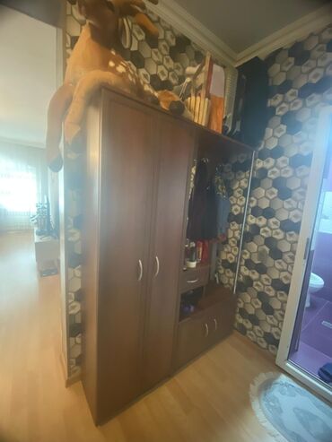 salon şkafı: İşlənmiş, Açılan, 2 qapılı Düz dolab, Dəhliz dolabı
