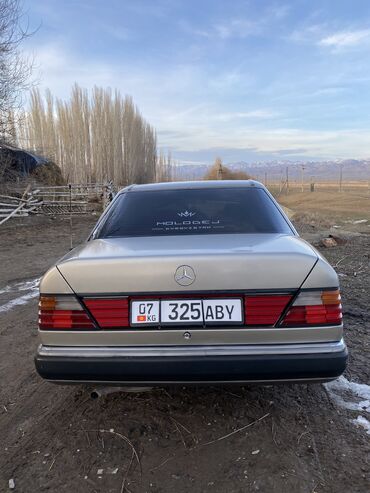 Mercedes-Benz: Mercedes-Benz W124: 1992 г., 2 л, Механика, Бензин, Седан