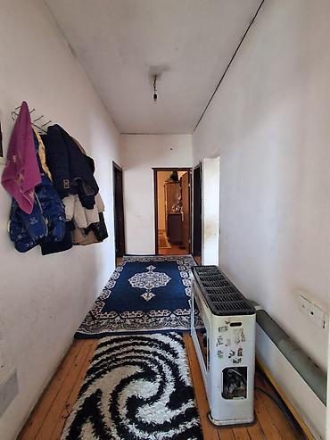 kendir: 120kvadrat çırağlı kənd tam orta məktəbin yanı 569un yolu araz — 6