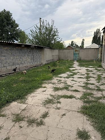 Продажа коттеджей и домов: 3 комнаты, 90 м², 4 соток, Мыкан, Собственник at lalafo.kg — 11 Продажа коттеджей и домов: 3 комнаты, 90 м², 4 соток, Мыкан, Собственник — 11