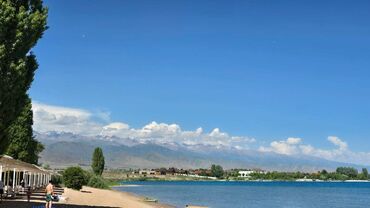 ищу салон красоты: Квартира, ЦО Chaika Resort, Детская площадка, Парковка, стоянка, Охраняемая территория