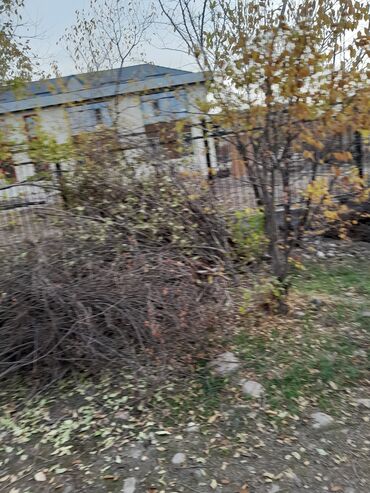 shima home 25 в 1 цена бишкек: Отун сатылат