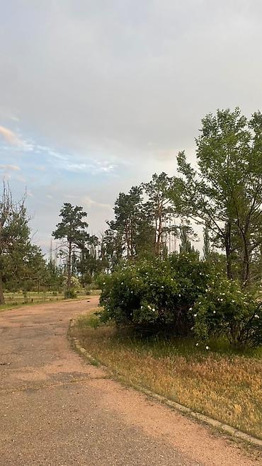 домики каракол: Гостиница на Иссык-Куле, Кара-Ой (Долинка), 2 места — 4