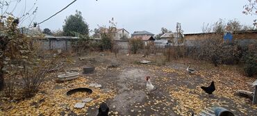 продаю дом ново покровка и лебединовка: Үй, 51 кв. м, 4 бөлмө, Риелтор, Эски ремонт