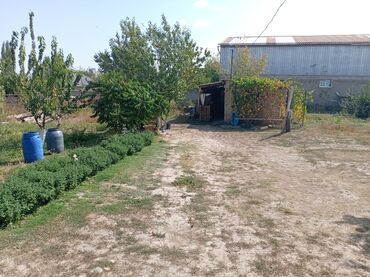 дом в восток 5: Дом, 120 м², 5 комнат