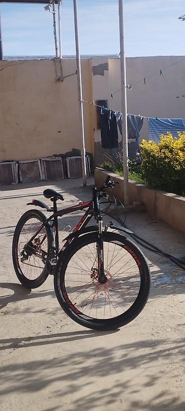 olimpia velosiped: Şəhər və yüngül off-road üçün universal dağ velosipedi. REAL ALICIYA — 1
