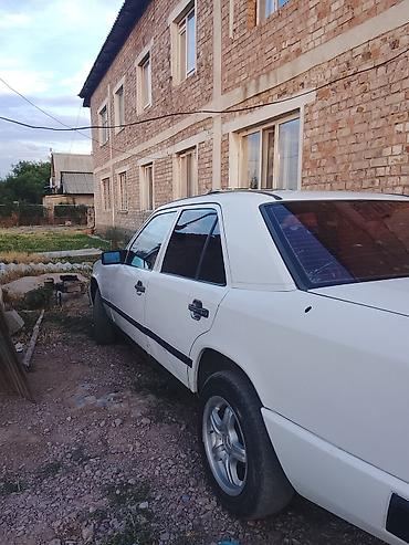 mersedes e class: Mercedes-Benz W124: 1989 г., 2.3 л, Механика, Бензин, Седан — 5
