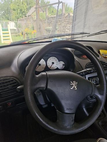 auto kamera 3 u 1: Peugeot 206, hečbek, srebrna boja. Karoserija i spoljašnost: - 5 — 5