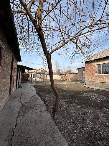 Односпальные кровати: 🏡 Продаётся дом с участком 8 соток 📍 Село Раздольное Продаётся уютный at lalafo.kg — 15 Односпальные кровати: 🏡 Продаётся дом с участком 8 соток 📍 Село Раздольное Продаётся уютный — 15