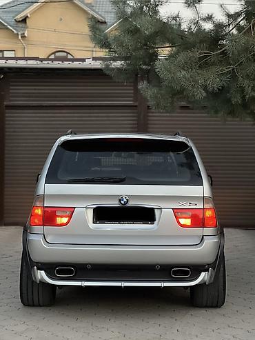 BMW: BMW X5: 2002 г., 4.6 л, Автомат, Бензин, Внедорожник — 9